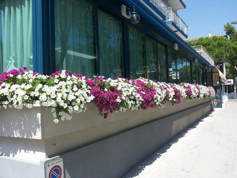 Hotel Trovatore 3*